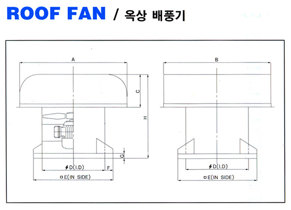 dy3_5_1.jpg